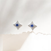 Free Mini Stone and Silver Combination Earrings with Simple Design