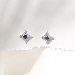 Free Mini Stone and Silver Combination Earrings with Simple Design