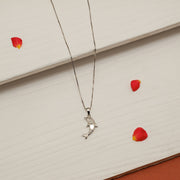 Sleek Silver Chain with Dolphin Pendant
